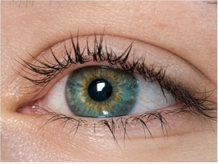 Panellist 07, baseline lash photo at week 0